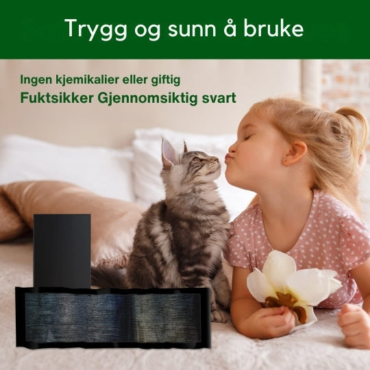 Piège collant utilisé dans un espace extérieur