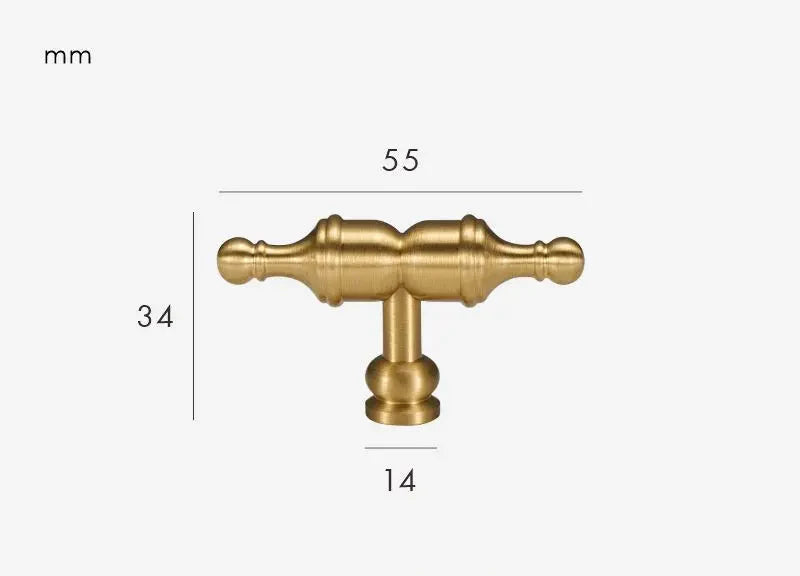 Bouton de meuble en laiton doré brossé sur fond blanc