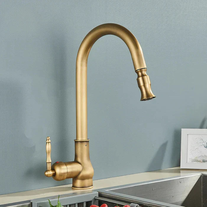 Détail du bec pivotant du robinet de cuisine
