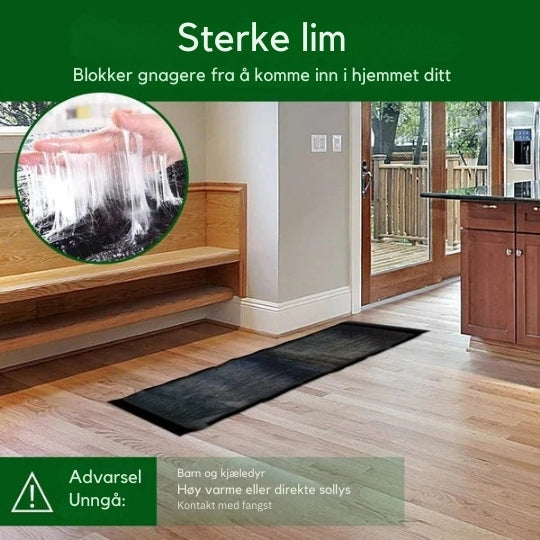 Installation du piège collant dans un coin de pièce