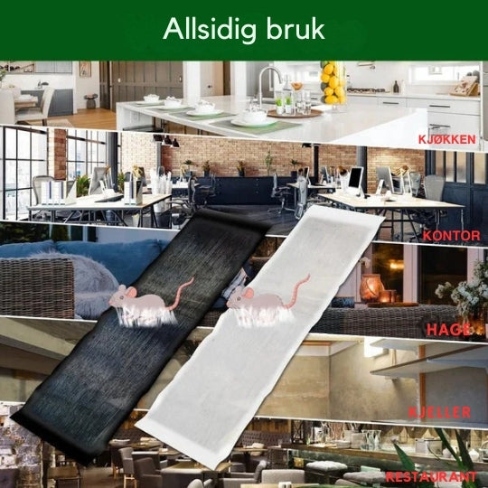 Piège collant avec grande surface adhésive pour rongeurs