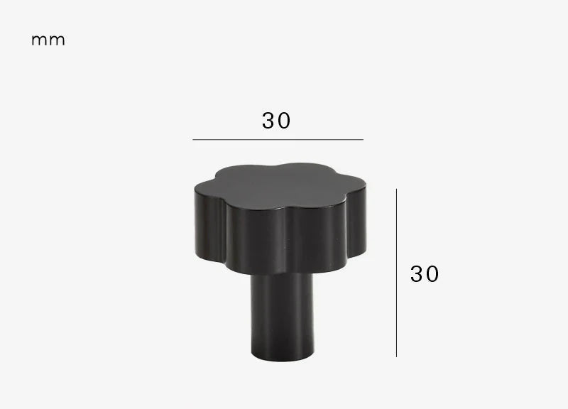 Vue rapprochée d'un bouton de meuble noir avec vis de montage