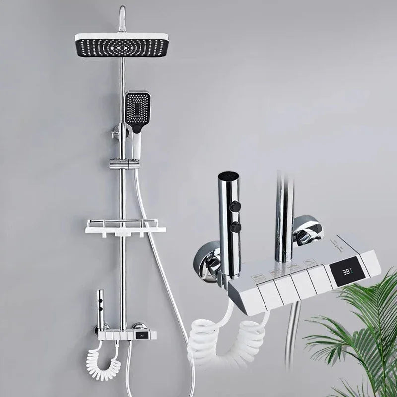 Colonne de douche complète avec accessoires et raccords visibles