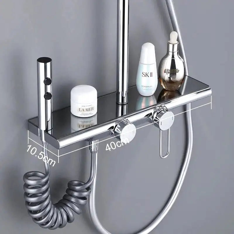 Colonne de Douche Thermostatique colonne douche thermostatique acier vue de détail