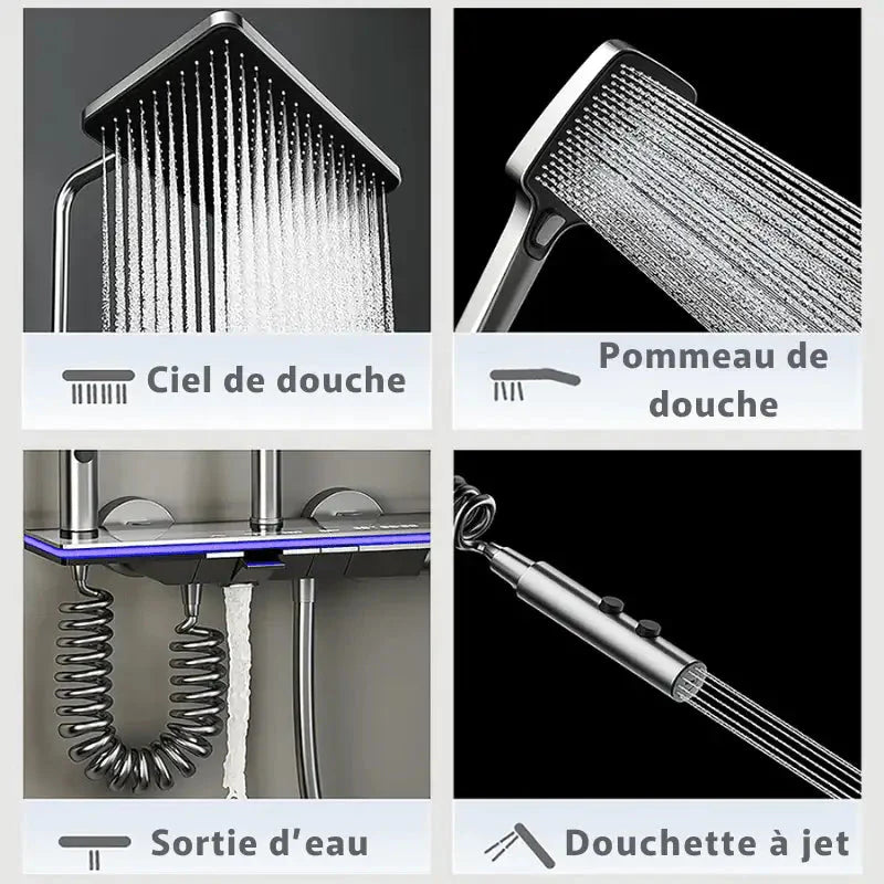 Détail du mitigeur thermostatique de la colonne de douche