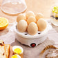 Cuit-oeufs blanc compact avec couvercle transparent