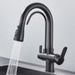 Robinet de cuisine noirci avec double bec et douchette extractible