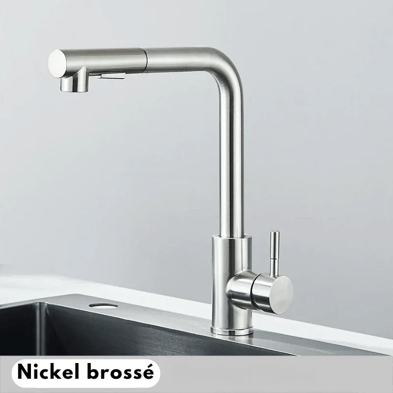 Robinet flexible en nickel brossé avec design moderne