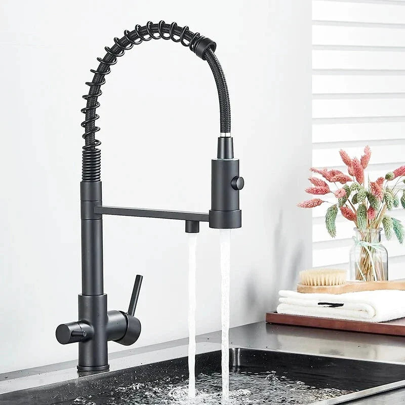 Robinet de cuisine noir mat avec bec orientable