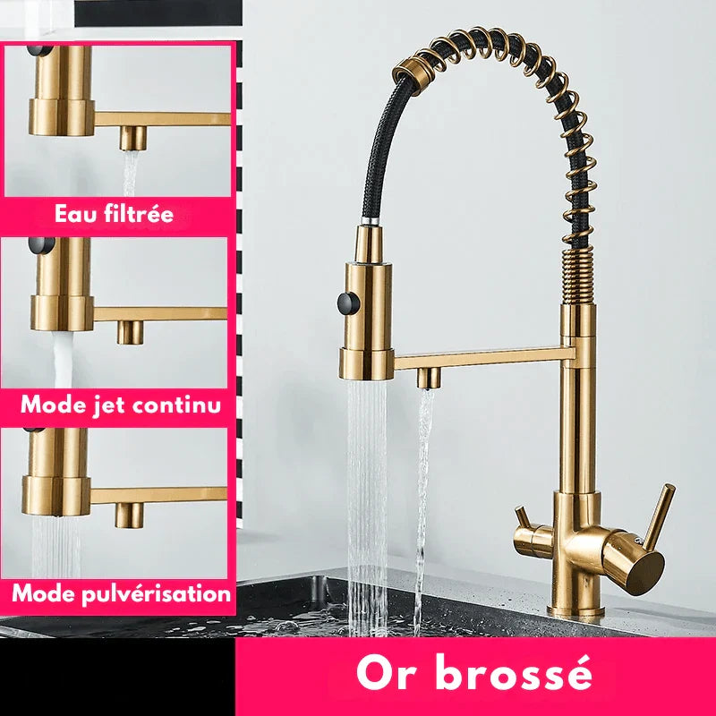 Robinet noir avec finition or brossé élégant