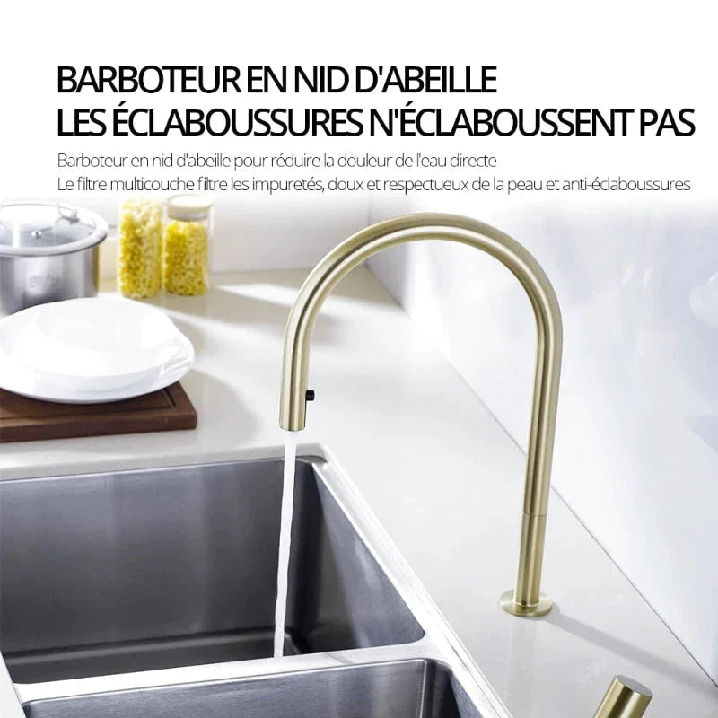 Gros plan sur le bec flexible du robinet doré