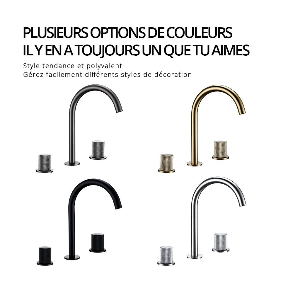 Robinet de salle de bain avec finition élégante et moderne