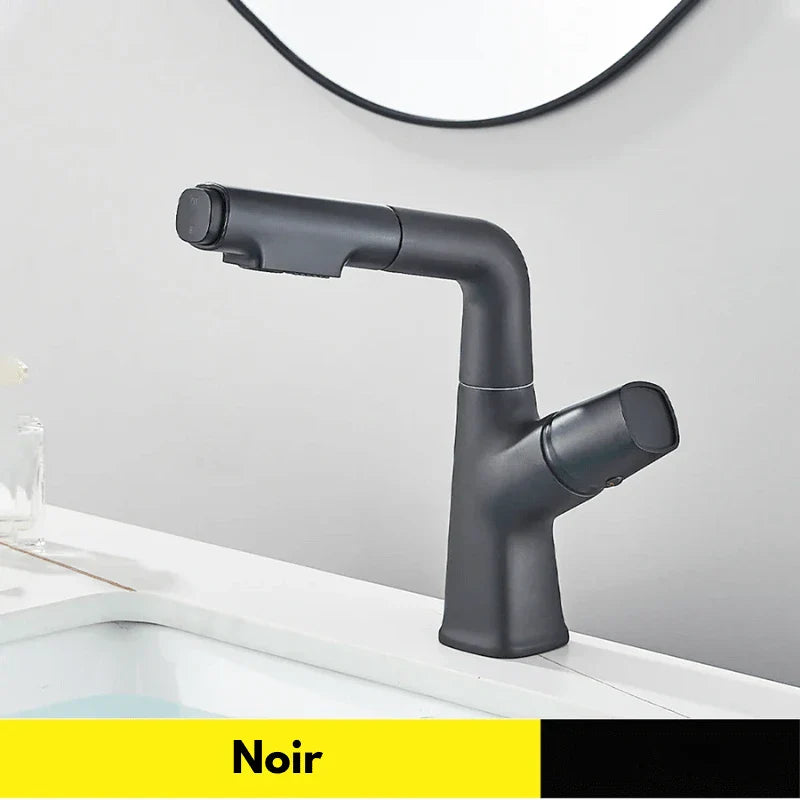 Robinet noir élégant avec bec relevable