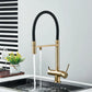Robinet de cuisine en or brossé avec finition luxueuse
